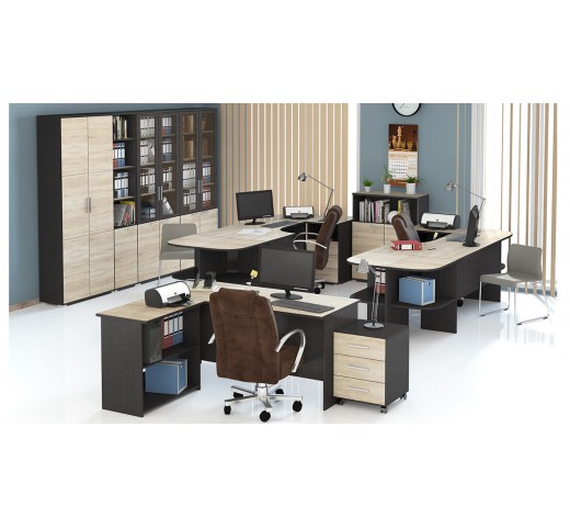 Набор офисной мебели Успех-2 ГН-184.005